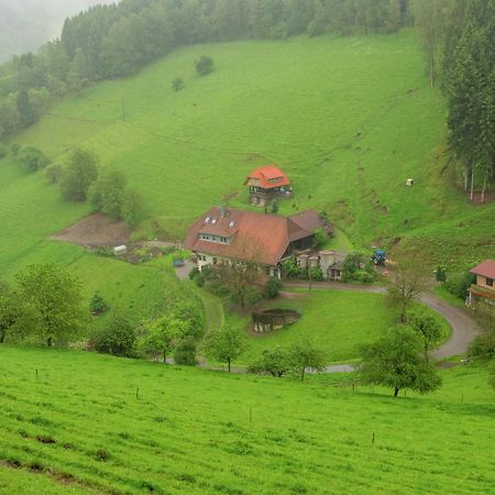 Cosy Farmhouse Apartment At The Edge Of The Forest 뮬렌바하 외부 사진