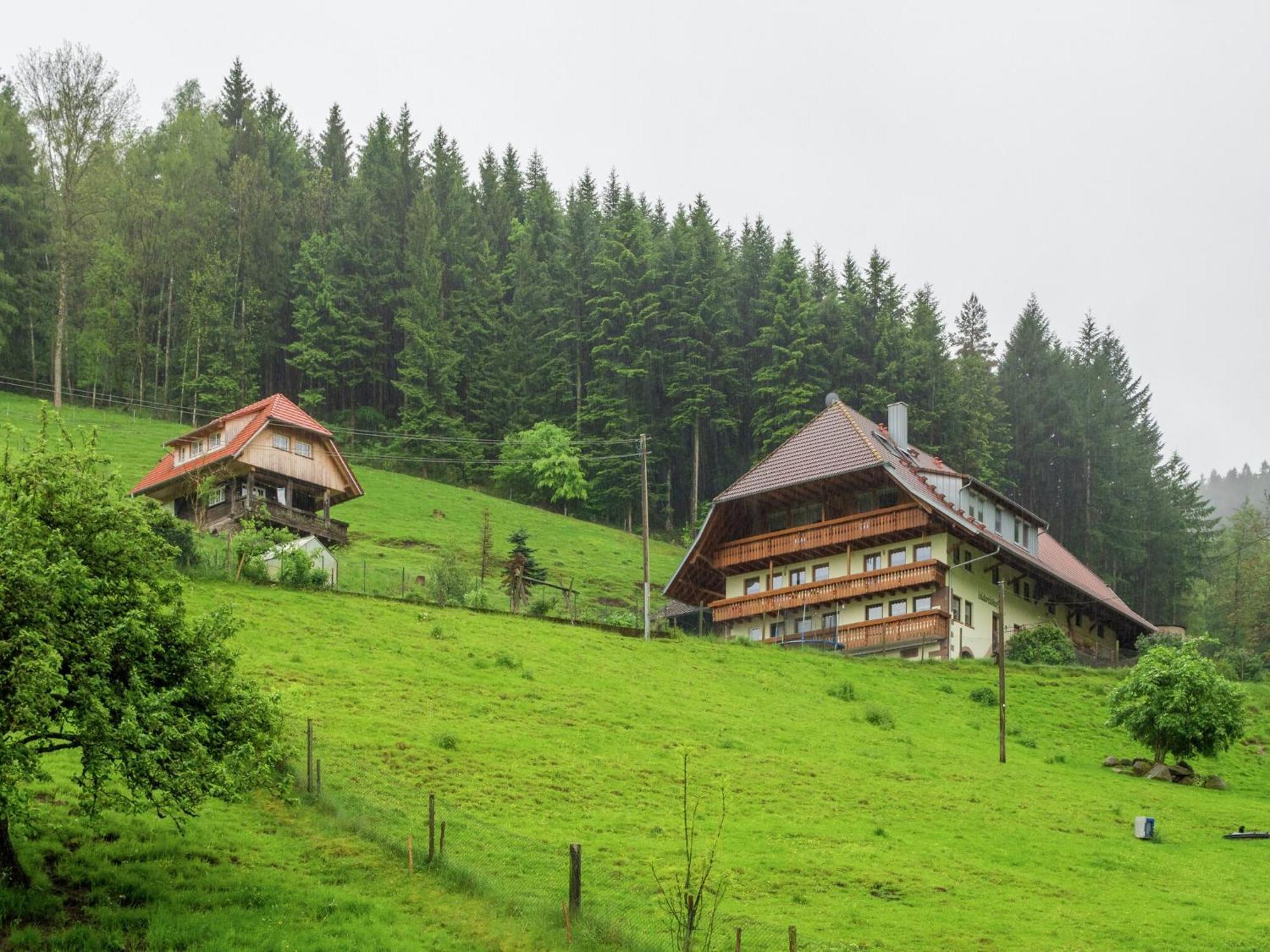 Cosy Farmhouse Apartment At The Edge Of The Forest 뮬렌바하 외부 사진